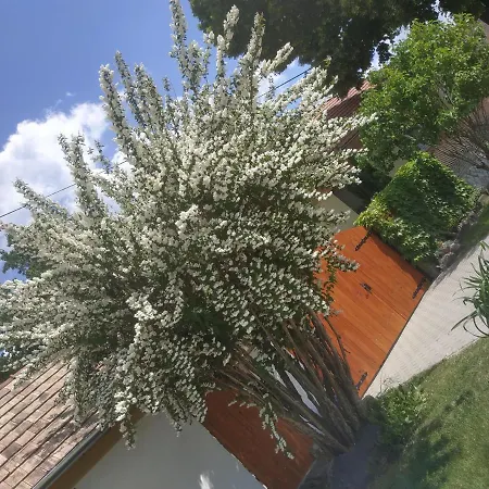 Apartment Cseresznyes Haz
