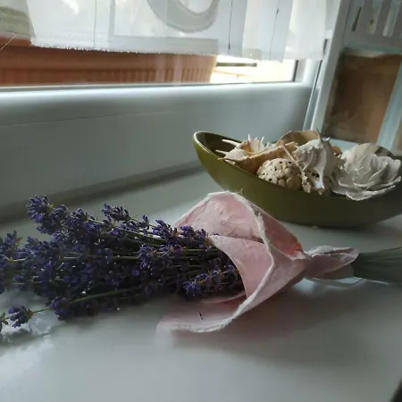 Cseresznyés Ház Apartamento