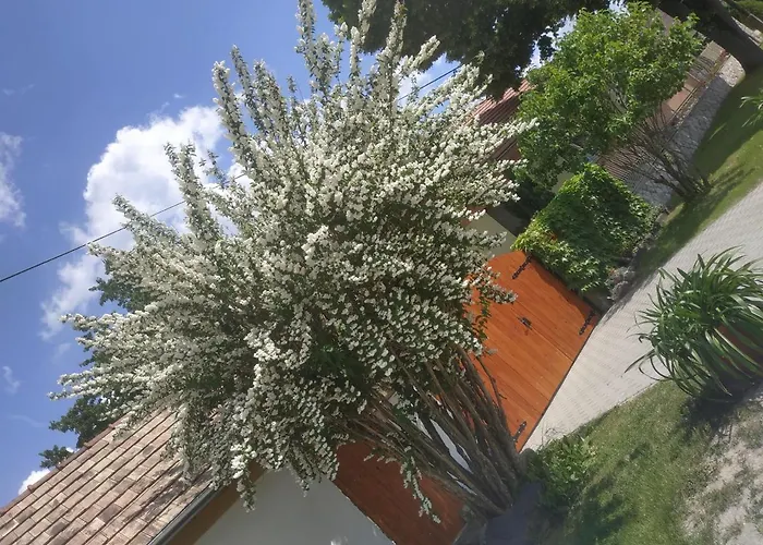 Apartament Cseresznyes Haz